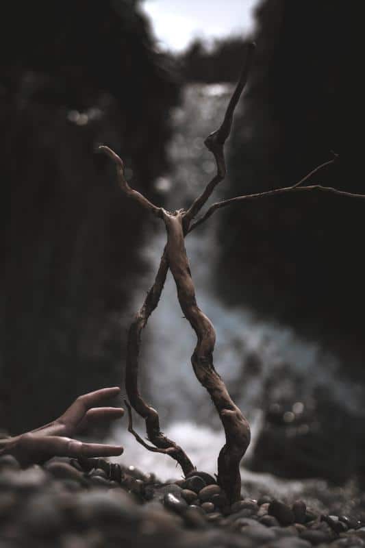 wooden hand grasping a twig